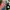 Variety Starbucks US Cities Thermos Tumbler  photo 3