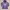 Women's Tiger Embroidery Hoodie photo 1
