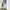 BigJhon japanese 00’s lightblue jeans straight fit photo 2
