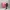 BLACKPINK Official Lightstick Ver 1