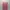 BLACKPINK Official Lightstick Ver 1 photo 2