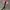 BLACKPINK Official Lightstick Ver 1 photo 5