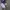 Nike Streetwear Skater Sweater Pria gray photo 4