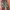 Vintage Reworked Jeans Pria green photo 2