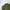 Nike Streetwear Skater Sweater Pria green photo 2