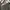 Baggy super balloon black washed super wideleg photo 3