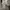 SHEIN Crop Cami Top WYWH Big Bow Front Crop Cami Top photo 1