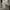 SHEIN Crop Cami Top WYWH Big Bow Front Crop Cami Top