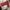Vans mooneyes authentic  photo 2