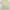 Turtleneck Beige photo 1
