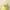 Topi Vintage/Y2K Yellow