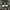 Adidas adiprene photo 4