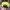 5 fanel tnt photo 3