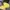5 Fanel Tnt