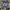 Asics GT 1000  photo 4