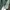 Minimalist Cardigan Wanita green photo 4