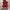 Converse Chuck Taylor All Star 70S High Red Ivory photo 4