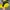 5 fanell nike just do it rework jacket photo 2