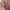 Sweater Pink Oversize photo 2