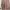 Sweater Pink Oversize photo 1