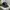 Splash realtree hat by chipola photo 2