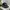 Splash Realtree Hat By Chipola