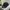 Splash realtree hat by chipola photo 4