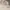 GG<5 Coquette Casual Skirt Wanita cream photo 5