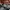 New Balance 1906R Black Metalic photo 3
