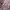 Luxury Minimalist Evening dress Wanita purple pink photo 3