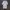 Tshirt Instantfunk funk logo (broken white) photo 5