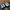 Converse Pro Blaze V2 OX White  photo 1