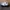 Converse Pro Blaze V2 OX White  photo 2
