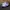 Converse Pro Blaze V2 OX White  photo 3