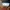 Converse Pro Blaze V2 OX White  photo 6