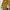 Kulot culottes corduroy photo 1