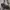 Guess bag Y2K photo 2