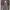 Zara Knit Bodycon Dress Mahogany Wanita photo 1