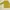 Blouse Mustard