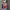 Jersey Basket Kobe Bryant Mitchell and Kness rare photo 1