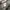 Baggy super wash grey wide leg photo 3