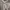 SPAO Sweater Outer Oversize Coksu Pria/Wanita