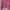Sweater Crop Pink Fuschia Kerah Wanita