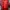 Jersey Fantasy Garuda Timnas