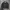 Tonywadk Blackwash Denim Jacket