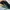 Charles & Keith Dark Green photo 4