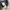 Kangol Tottebag photo 5