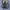 Nike V2K Run Platinum photo 5