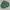 Flight Jacket The Marquis Vintage Green Bottle Colour photo 2