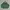 Flight Jacket The Marquis Vintage Green Bottle Colour